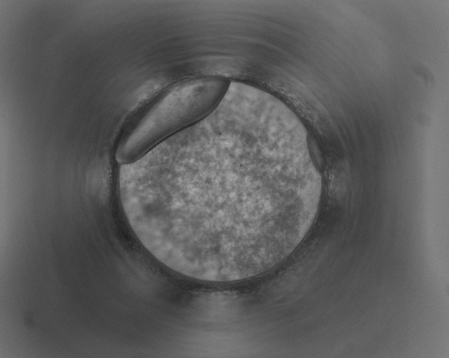 X0000116510304200912292149