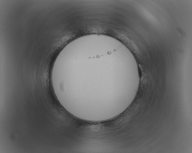 X0000116510306200912292149