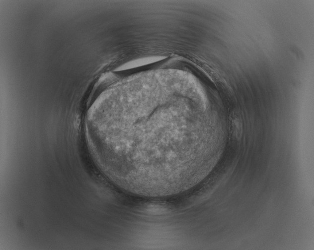 X0000116510308200912292149