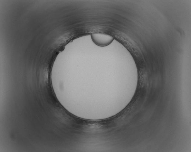 X0000116510310200912292149