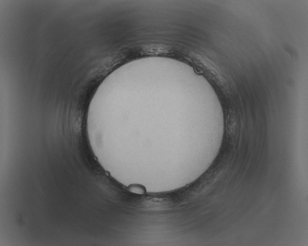 X0000116510315200912292149