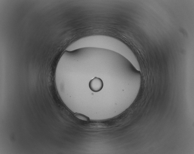 X0000116510316200912292149