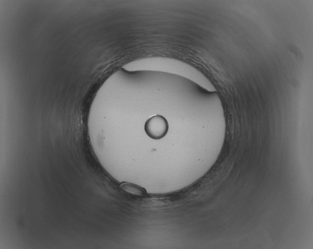 X0000116510320200912292149