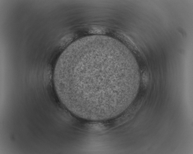 X0000116510322200912292149