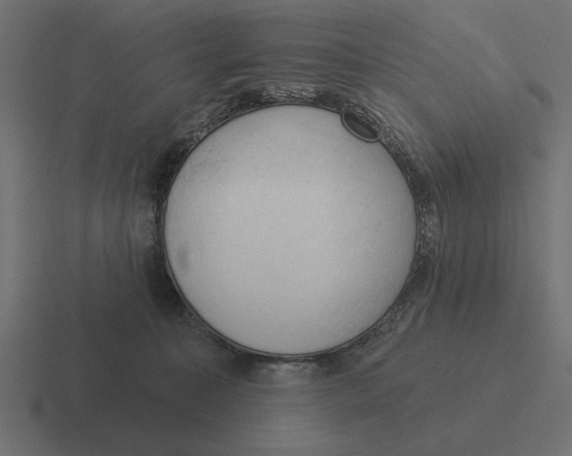 X0000116510323200912292149