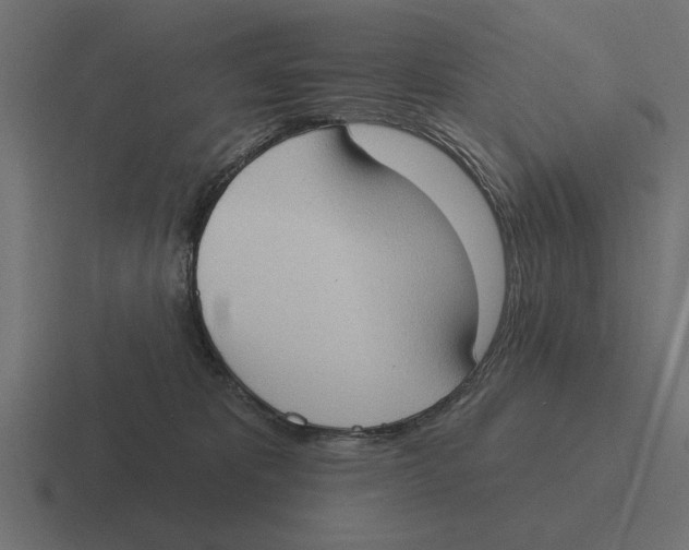 X0000116510325200912292149