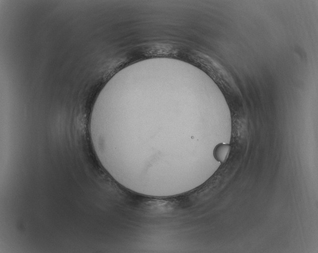 X0000116510326200912292149