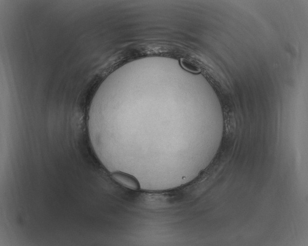 X0000116510327200912292149