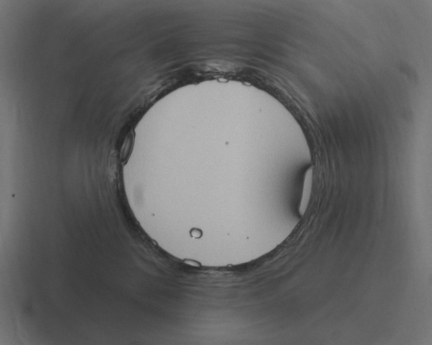 X0000116510328200912292149