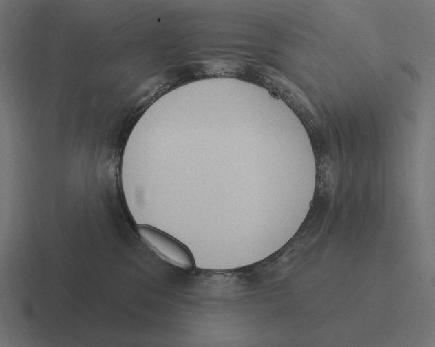 X0000116510329200912292149