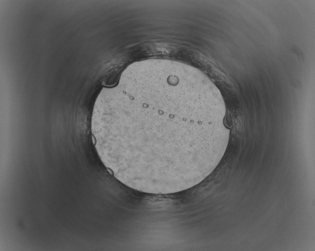 X0000116510331200912292149