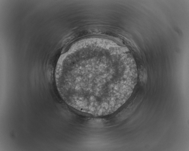 X0000116510332200912292149