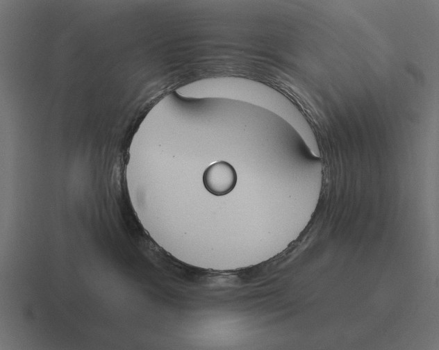 X0000116510333200912292149