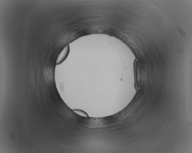 X0000116510335200912292149