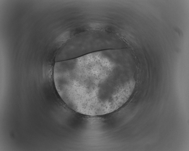 X0000116510336200912292149