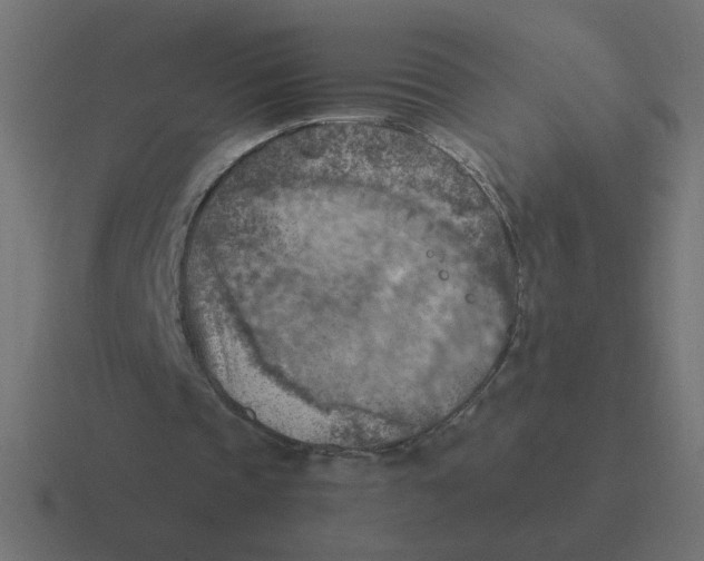 X0000116510337200912292148