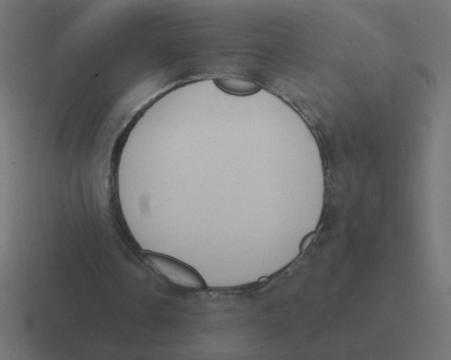 X0000116510338200912292148