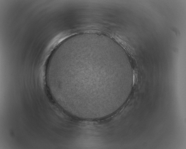 X0000116510339200912292148