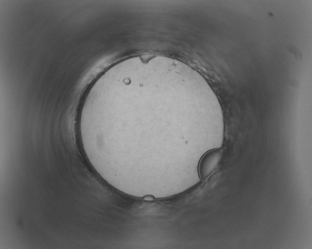 X0000116510341200912292148