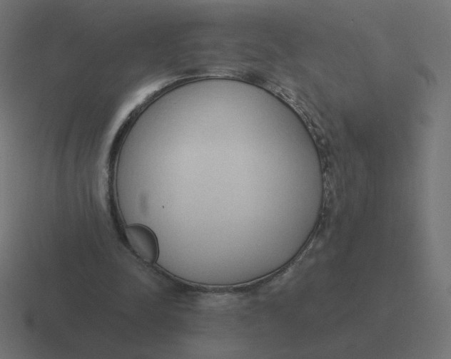 X0000116510342200912292148