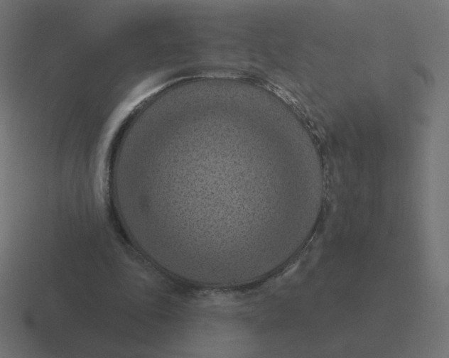 X0000116510343200912292148