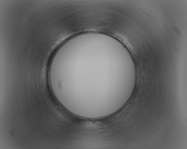 X0000116510346200912292148