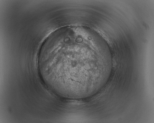 X0000116510347200912292148