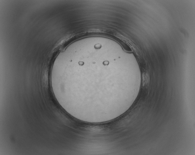 X0000116510349200912292148