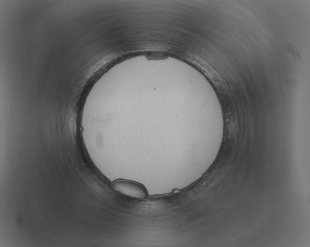 X0000116510350200912292148