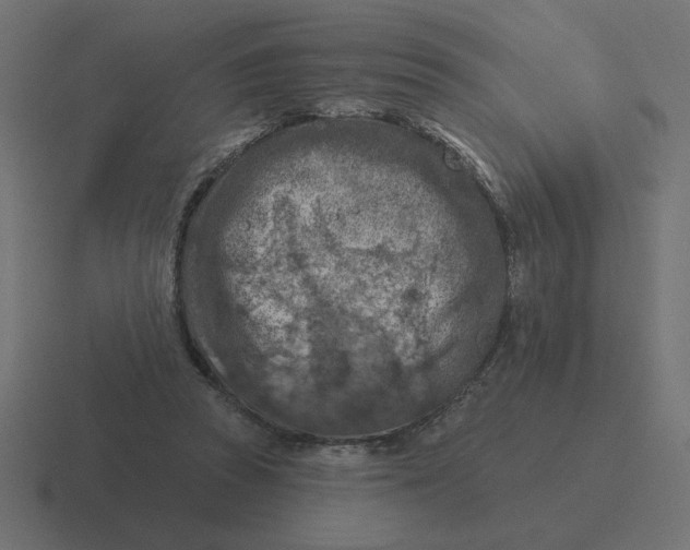 X0000116510353200912292149