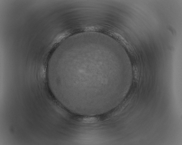 X0000116510357200912292149