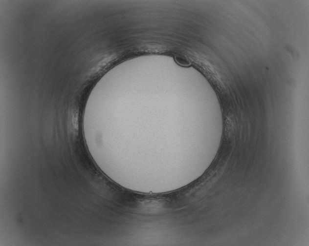 X0000116510358200912292149