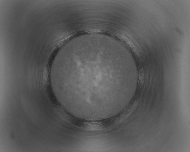 X0000116510359200912292149