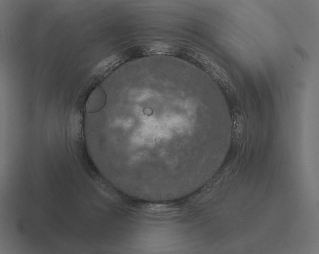 X0000116510361200912292149