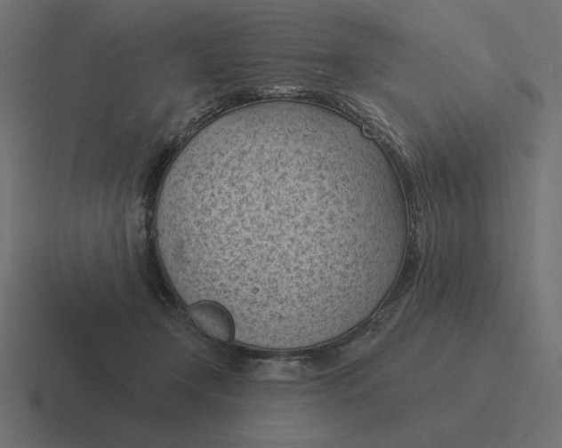 X0000116510366200912292149