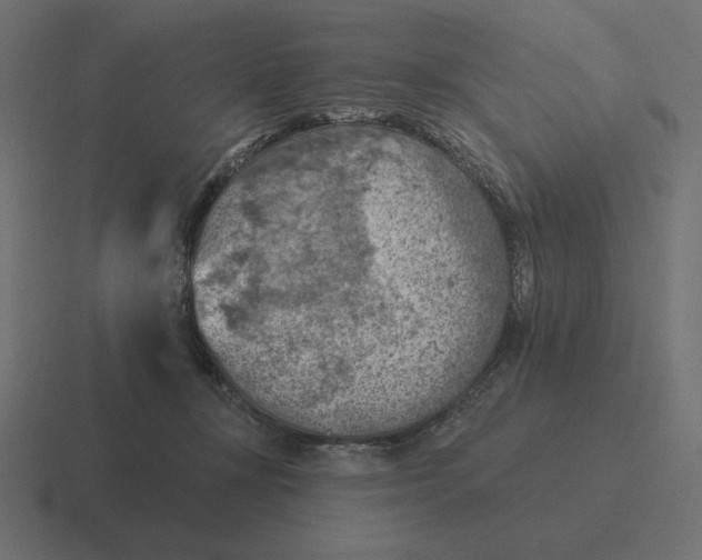 X0000116510367200912292149