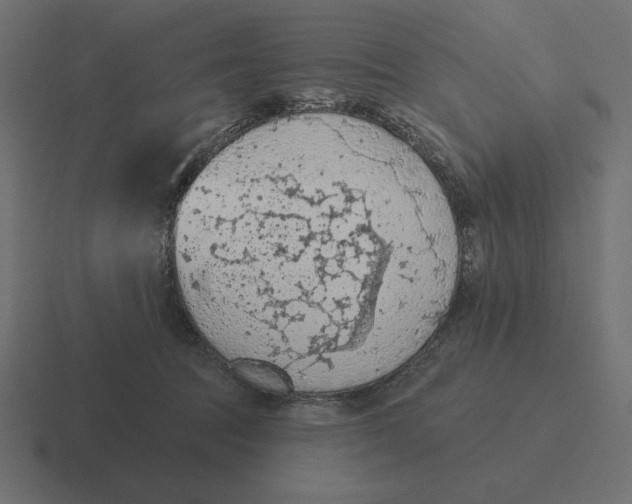 X0000116510369200912292149