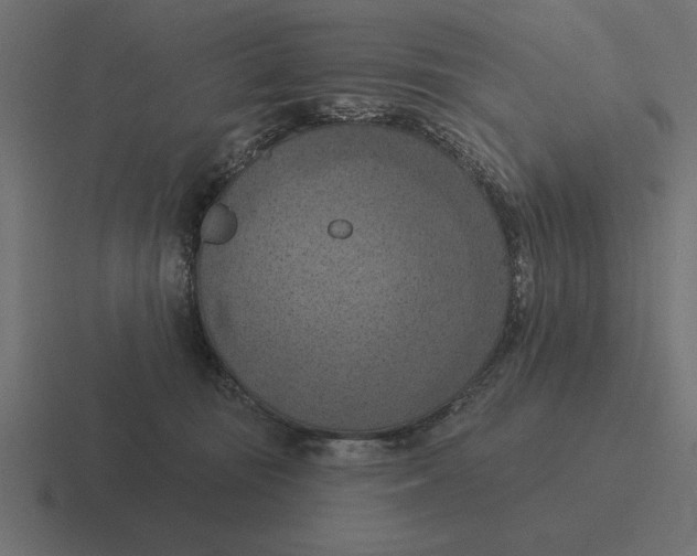 X0000116510371200912292149