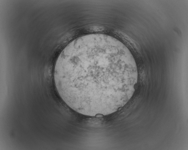 X0000116510373200912292149