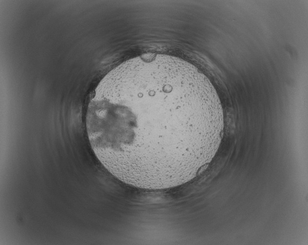 X0000116510377200912292149