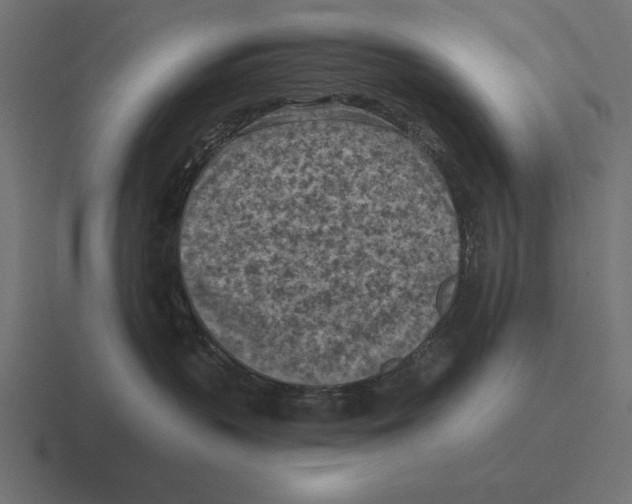 X0000116510383200912292149