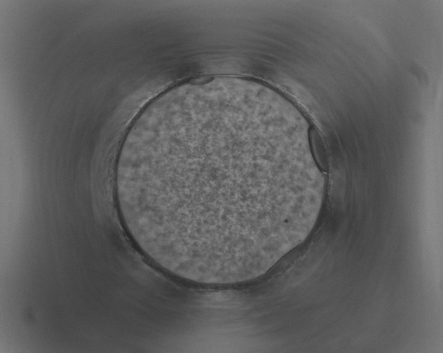 X0000116510385200912292148