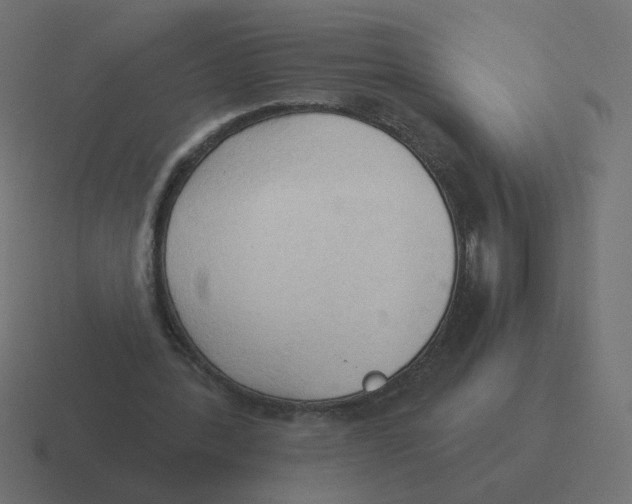 X0000116510388200912292148