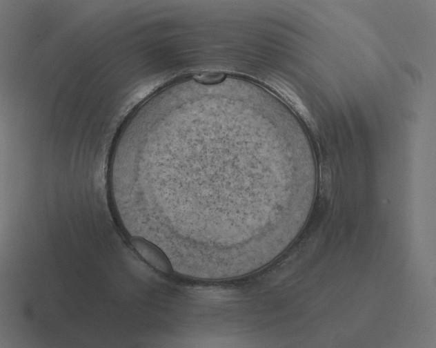 X0000116510389200912292148