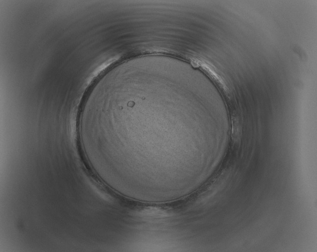 X0000116510390200912292148