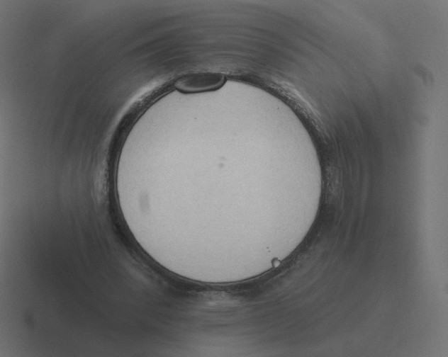 X0000116510392200912292148