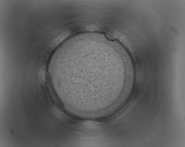 X0000116510393200912292148