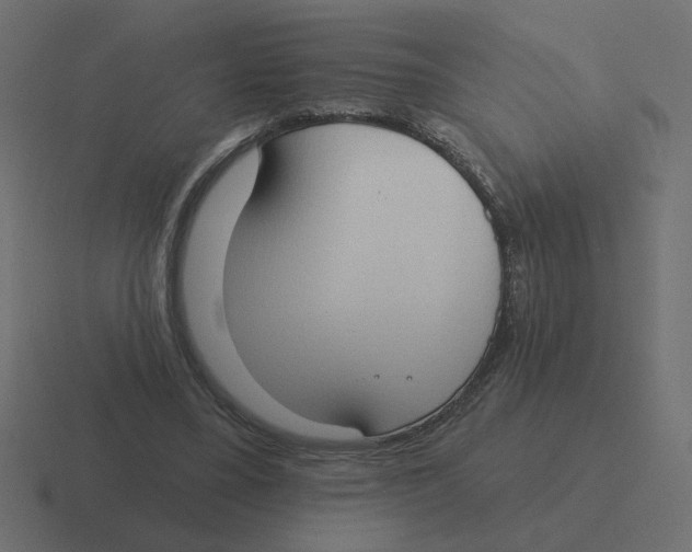 X0000116510395200912292148