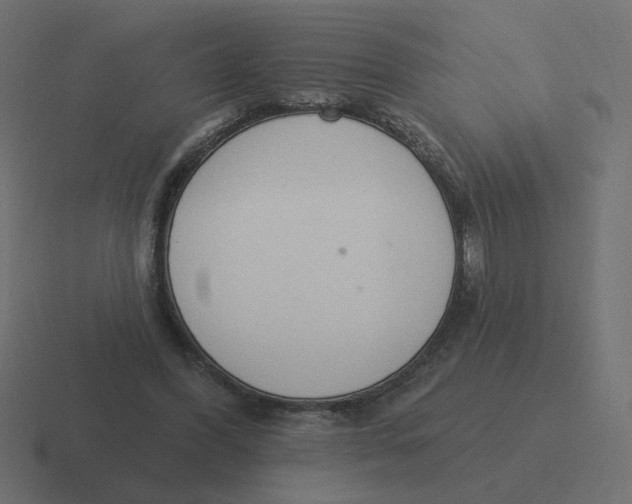 X0000116510396200912292148