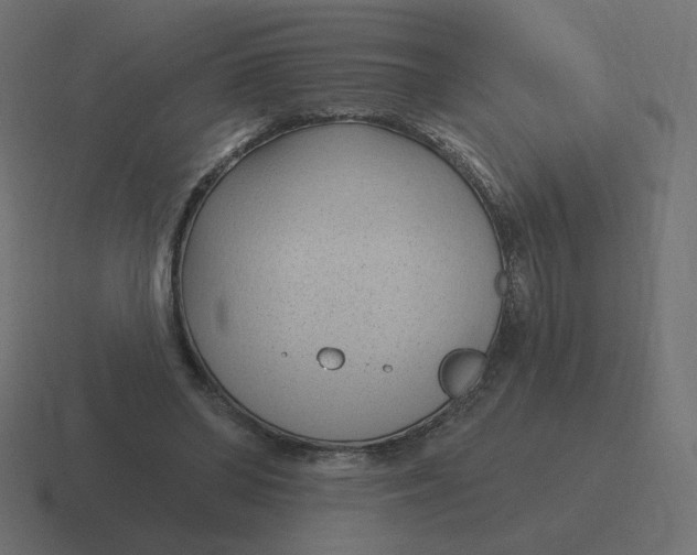 X0000116510398200912292148